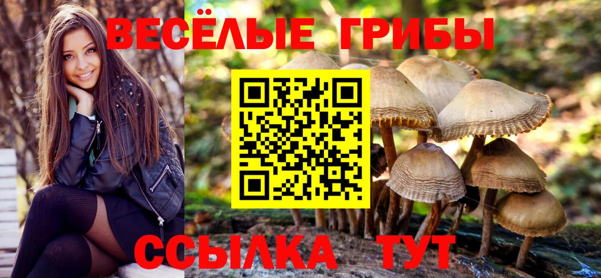 Псилоцибиновые грибы GOLDEN TEACHER Азнакаево